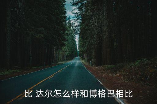 比 達(dá)爾怎么樣和博格巴相比