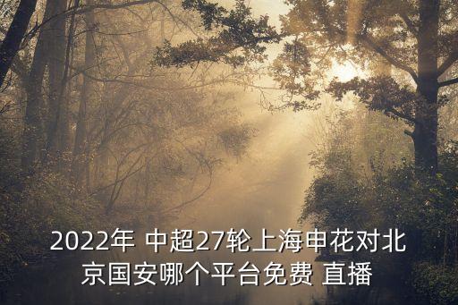 2022年 中超27輪上海申花對北京國安哪個平臺免費 直播