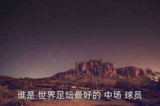 誰(shuí)是 世界足壇最好的 中場(chǎng) 球員