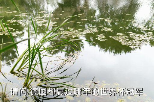 德國(guó)智利哪個(gè)會(huì)贏,世界杯主辦國(guó)及冠軍年份排名