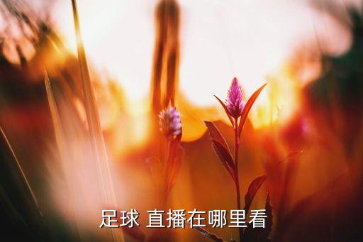 哪個直播平臺放足球,看比賽直播!這些足球?qū)毜?