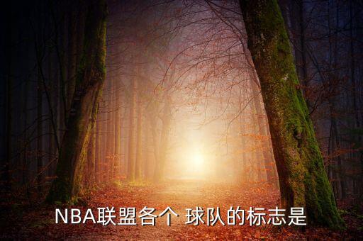 NBA聯(lián)盟各個(gè) 球隊(duì)的標(biāo)志是