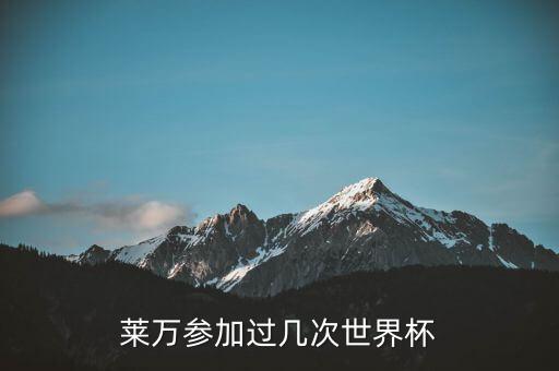 萊萬去拜仁之前在那哪個(gè)球隊(duì),萊萬的職業(yè)生涯回顧