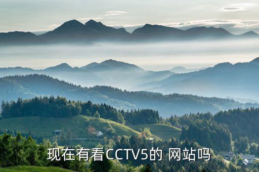 現在有看CCTV5的 網站嗎