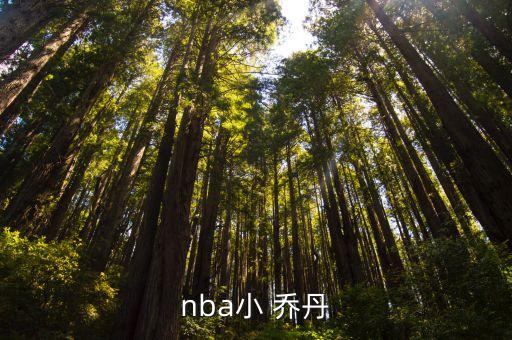 nba小 喬丹