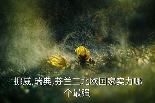  挪威,瑞典,芬蘭三北歐國家實(shí)力哪個(gè)最強(qiáng)