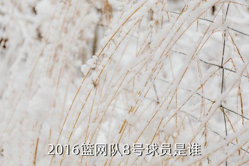 2016籃網(wǎng)隊8號球員是誰