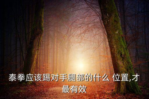 泰拳應(yīng)該踢對(duì)手腿部的什么 位置,才最有效