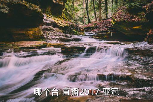 哪個臺 直播2017 亞冠