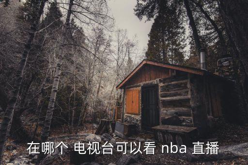 在哪個 電視臺可以看 nba 直播