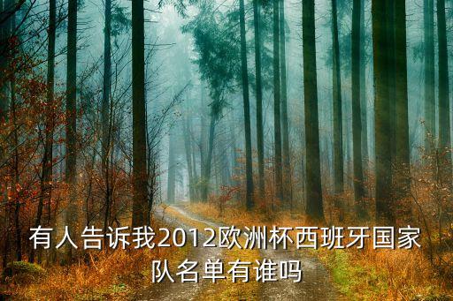 有人告訴我2012歐洲杯西班牙國家隊(duì)名單有誰嗎