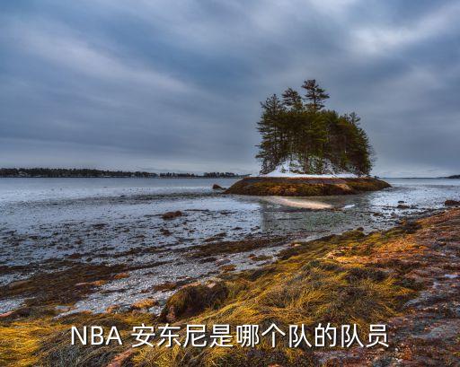 NBA 安東尼是哪個隊的隊員