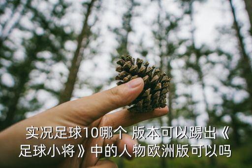  實況足球10哪個 版本可以踢出《足球小將》中的人物歐洲版可以嗎