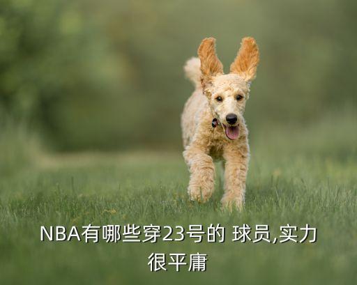 NBA有哪些穿23號(hào)的 球員,實(shí)力很平庸