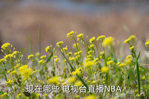 現(xiàn)在哪些 電視臺直播NBA