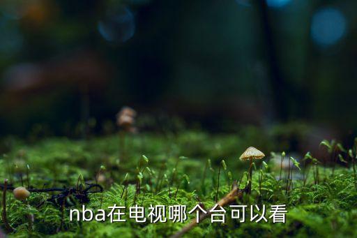 nba在電視哪個(gè)臺(tái)可以看