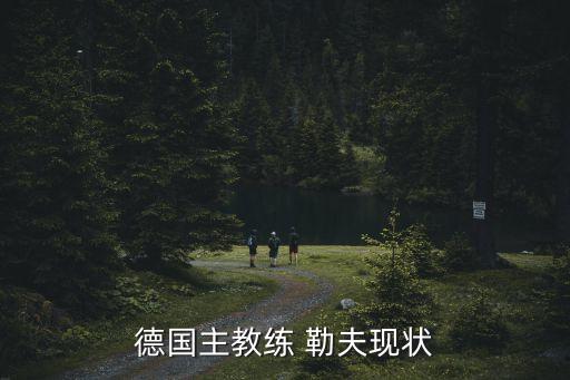 勒夫執(zhí)教哪個俱樂部,勒夫轉(zhuǎn)會拜仁慕尼黑隊擔(dān)任主教練