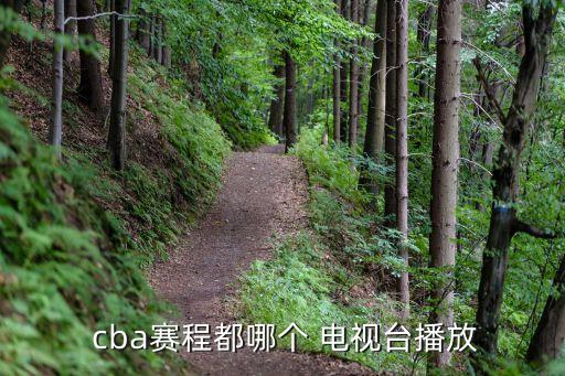 四川cba在哪個電視臺直播,cba轉(zhuǎn)播權(quán)歸屬哪些媒體