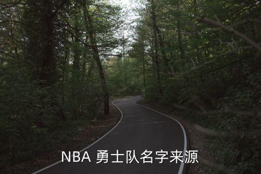 勇士是哪個國家的球隊(duì),金州勇士nba球隊(duì)更名為新加坡勇士