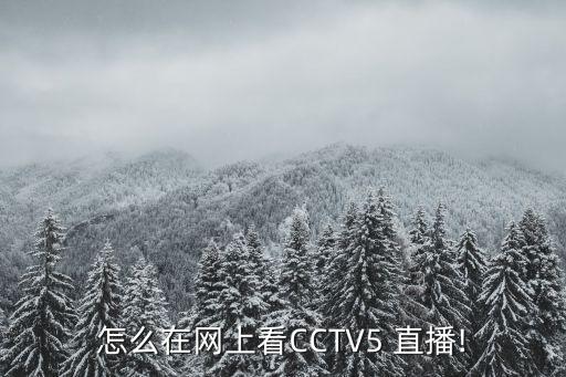 哪個網(wǎng)站直播中央5,在線看cctv5體育賽事直播有三種方式