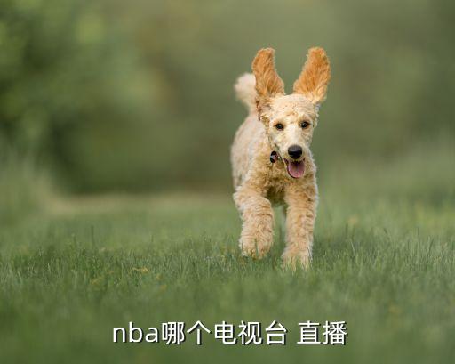 哪個地方臺直播nba,一文看懂nba直播首播