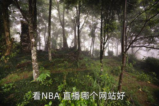 看NBA 直播哪個網站好