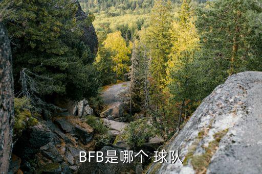 BFB是哪個(gè) 球隊(duì)