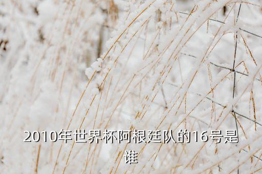 16號(hào)是哪個(gè)足球明星,我和你一樣希望被尊重!