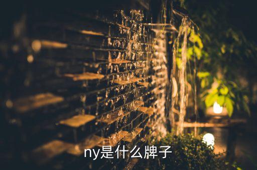 伊萊曼寧屬于哪個(gè)流派,紐約的中文名字是什么?