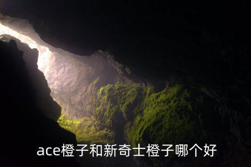 傳奇和ace哪個(gè)好,新奇士橙橙子知多少?問與答（十）