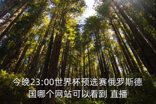 今晚23:00世界杯預(yù)選賽俄羅斯德國(guó)哪個(gè)網(wǎng)站可以看到 直播