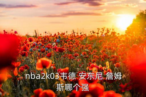 nba安東尼 詹姆斯哪個(gè)厲害,三人各有所長球風(fēng)球技都挺好的