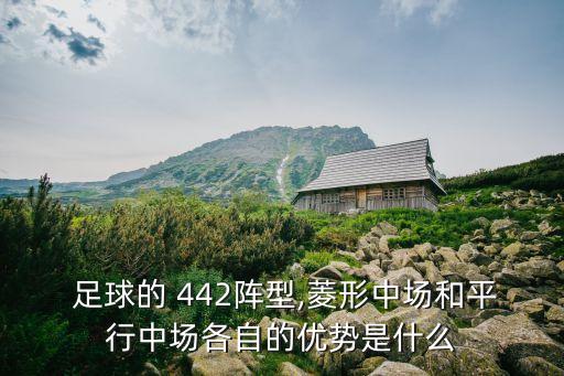 足球陣營442哪個球隊,442陣型四后衛(wèi)五中場六前鋒