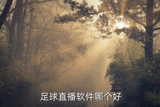 足球比分預(yù)測網(wǎng)哪個好,足球魔方有哪些優(yōu)點?