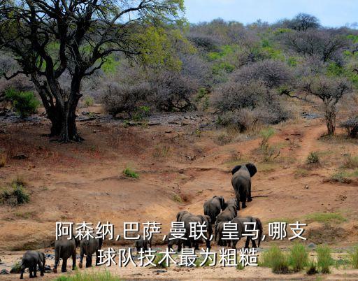  阿森納,巴薩,曼聯(lián), 皇馬,哪支球隊(duì)技術(shù)最為粗糙