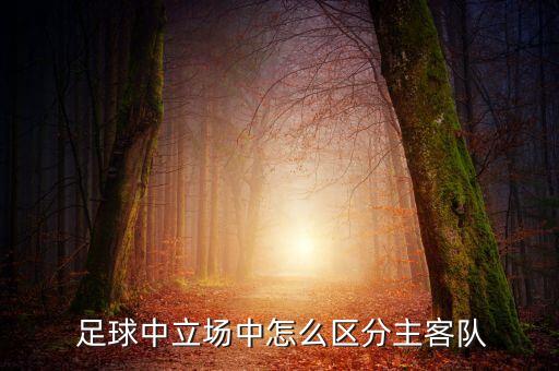  足球中立場中怎么區(qū)分主客隊(duì)