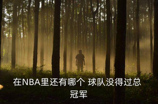 nba哪個球隊沒拿過總冠軍,我國籃球隊四支球隊包辦總決賽