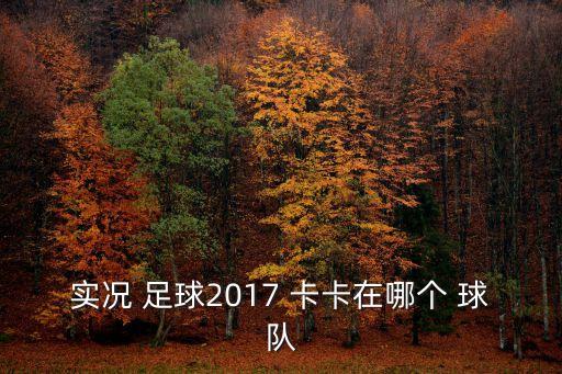 實(shí)況 足球2017 卡卡在哪個(gè) 球隊(duì)