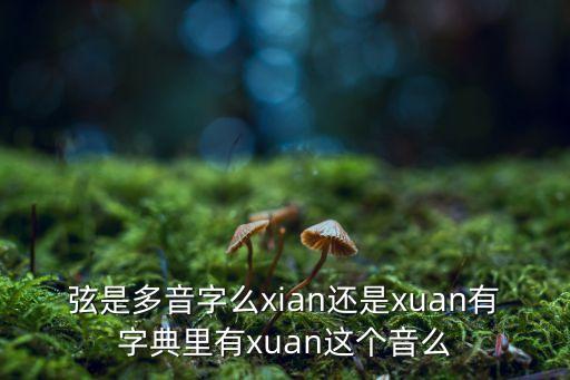 弦是多音字么xian還是xuan有字典里有xuan這個(gè)音么