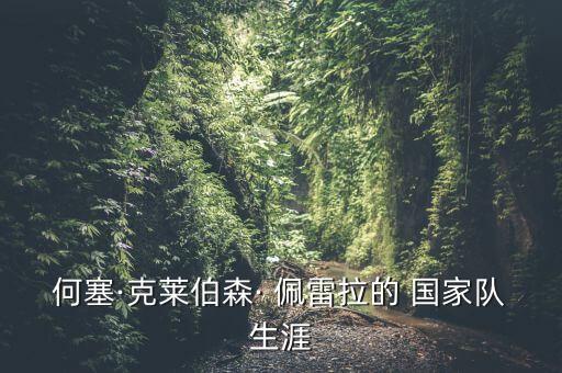 何塞·克萊伯森· 佩雷拉的 國家隊(duì)生涯