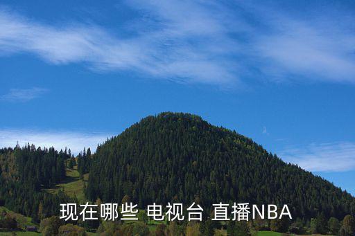 現(xiàn)在哪些 電視臺(tái) 直播NBA