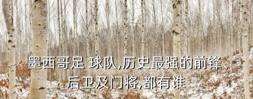  墨西哥足 球隊(duì),歷史最強(qiáng)的前鋒、后衛(wèi)及門將,都有誰(shuí)