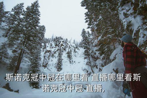 斯諾克冠中冠在哪里看 直播哪里看斯諾克冠中冠 直播,