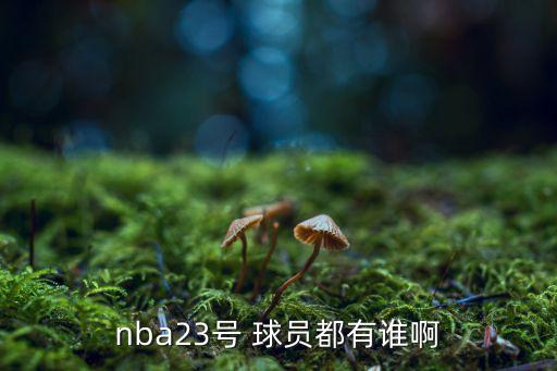 nba23號(hào) 球員都有誰(shuí)啊