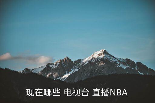 現(xiàn)在哪些 電視臺 直播NBA