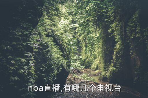  nba直播,有哪幾個(gè)電視臺(tái)