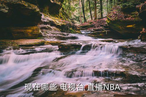 現(xiàn)在哪些 電視臺(tái) 直播NBA