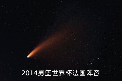 2014男籃世界杯法國陣容