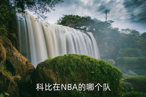  科比在NBA的哪個(gè)隊(duì)