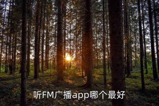 聽FM廣播app哪個(gè)最好